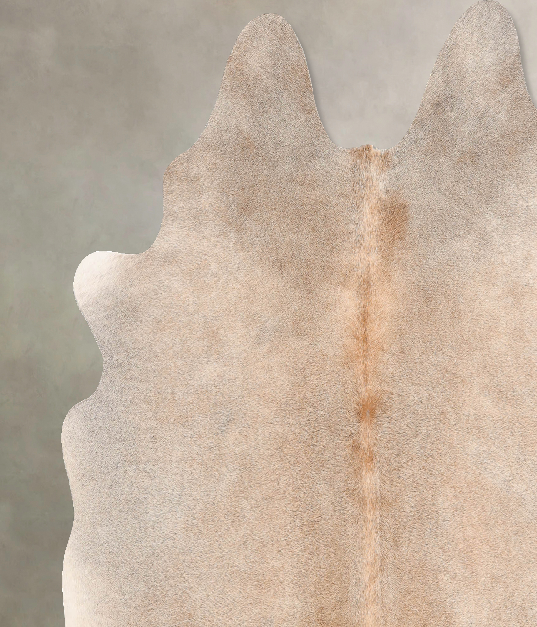 Grey with Beige Cowhide Rug #B7760