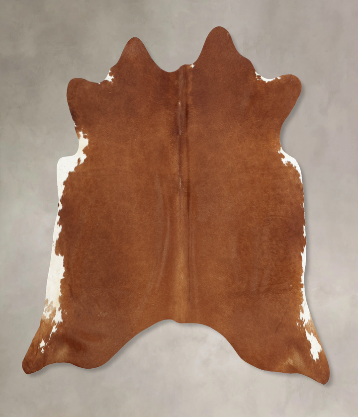 Solid Brown Large Brazilian Cowhide Rug 6'0"H x 6'4"W #B7786 by Hudson Hides