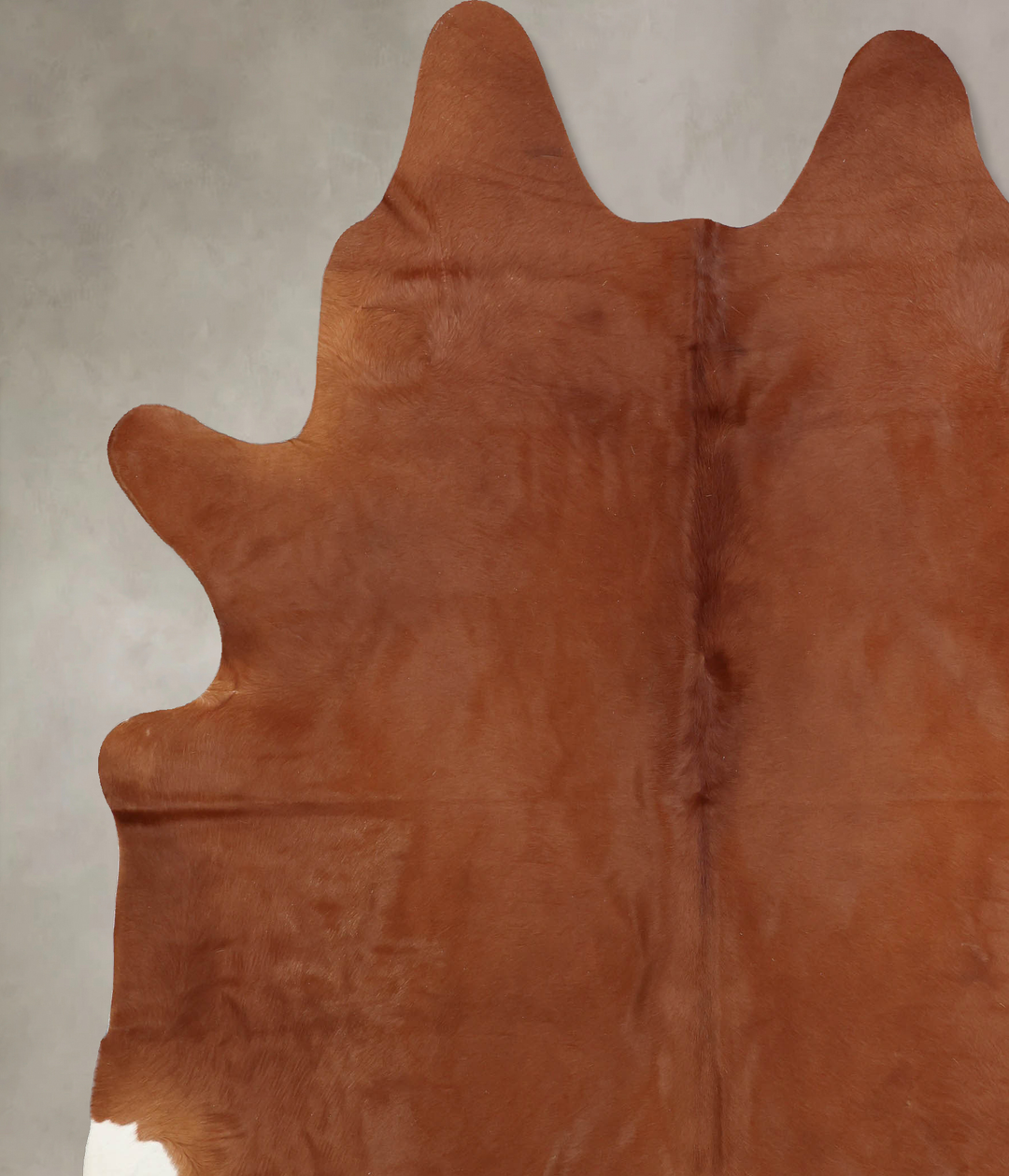 Solid Brown XX-Large Brazilian Cowhide Rug 8'5"H x 7'0"W #B7989 by Hud