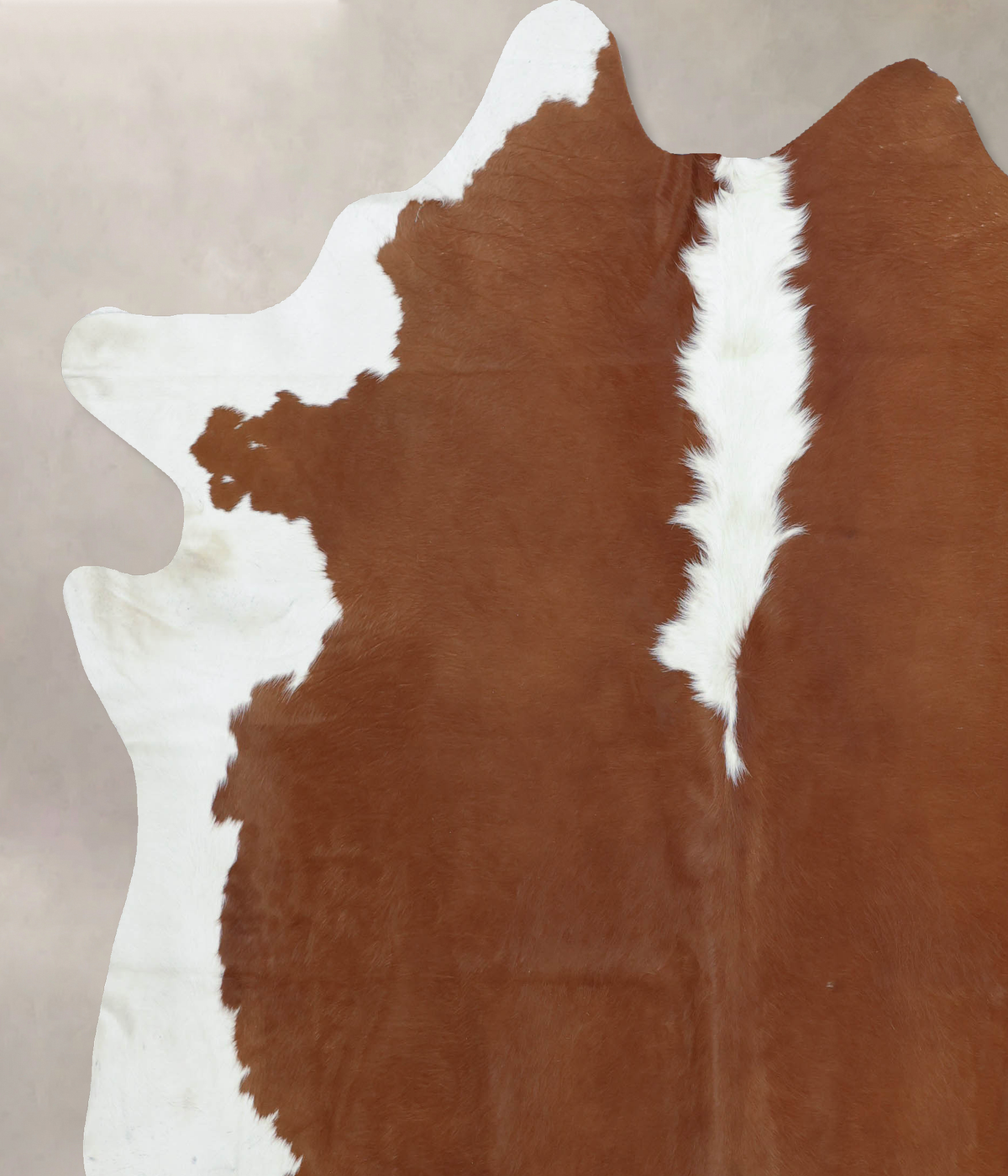 Hereford XX-Large Brazilian Cowhide Rug 8'0"H x 7'4"W #B8009 by Hudson Hides