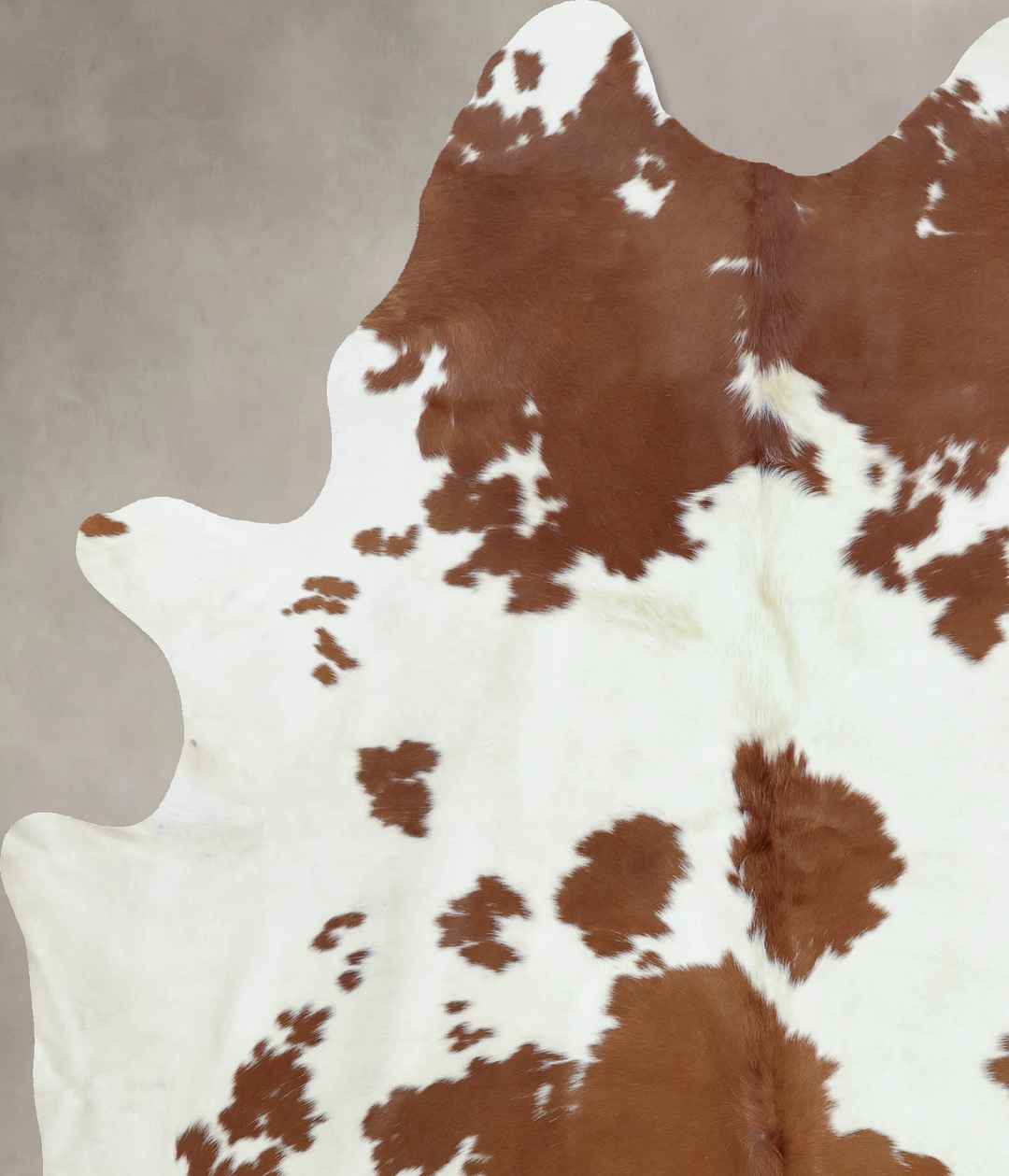 Brown and White X-Large Brazilian Cowhide Rug 7'11"H x 6'2"W #B8021 by
