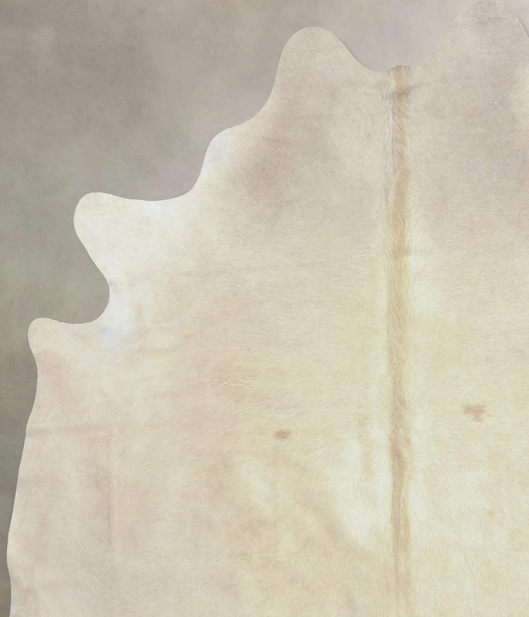 Champagne XX-Large Brazilian Cowhide Rug 7'7"H x 6'8"W #B8058 by Hudso