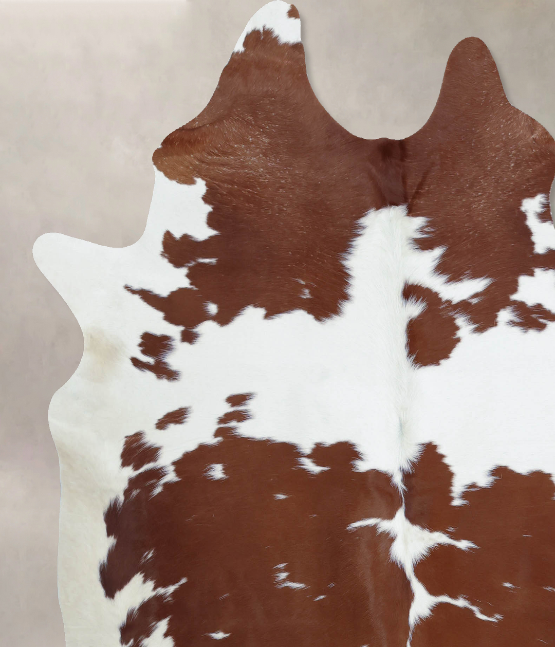 Brown and White X-Large Brazilian Cowhide Rug 7'3"H x 6'2"W #B8064 by 