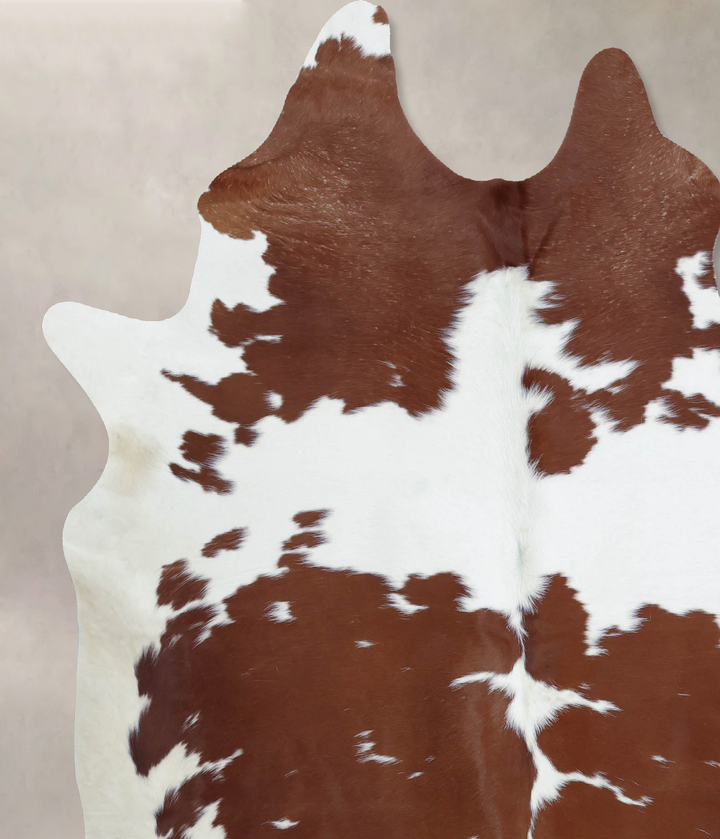 Brown and White X-Large Brazilian Cowhide Rug 7'3"H x 6'2"W #B8064 by Hudson Hides
