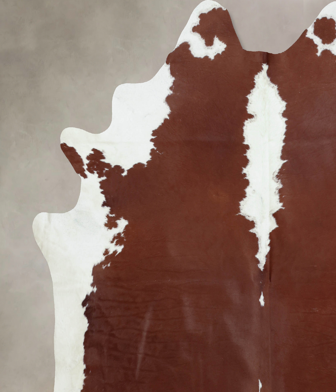 Hereford XX-Large Brazilian Cowhide Rug 8'3"H x 7'4"W #B8071 by Hudson