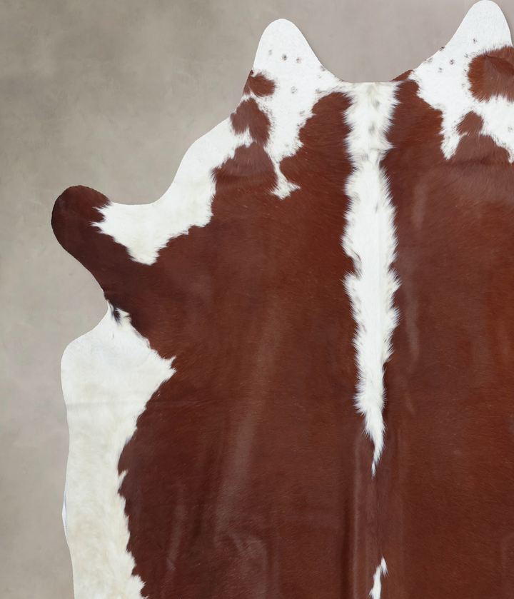 Hereford XX-Large Brazilian Cowhide Rug 7'10"H x 7'7"W #B8072 by Hudson Hides