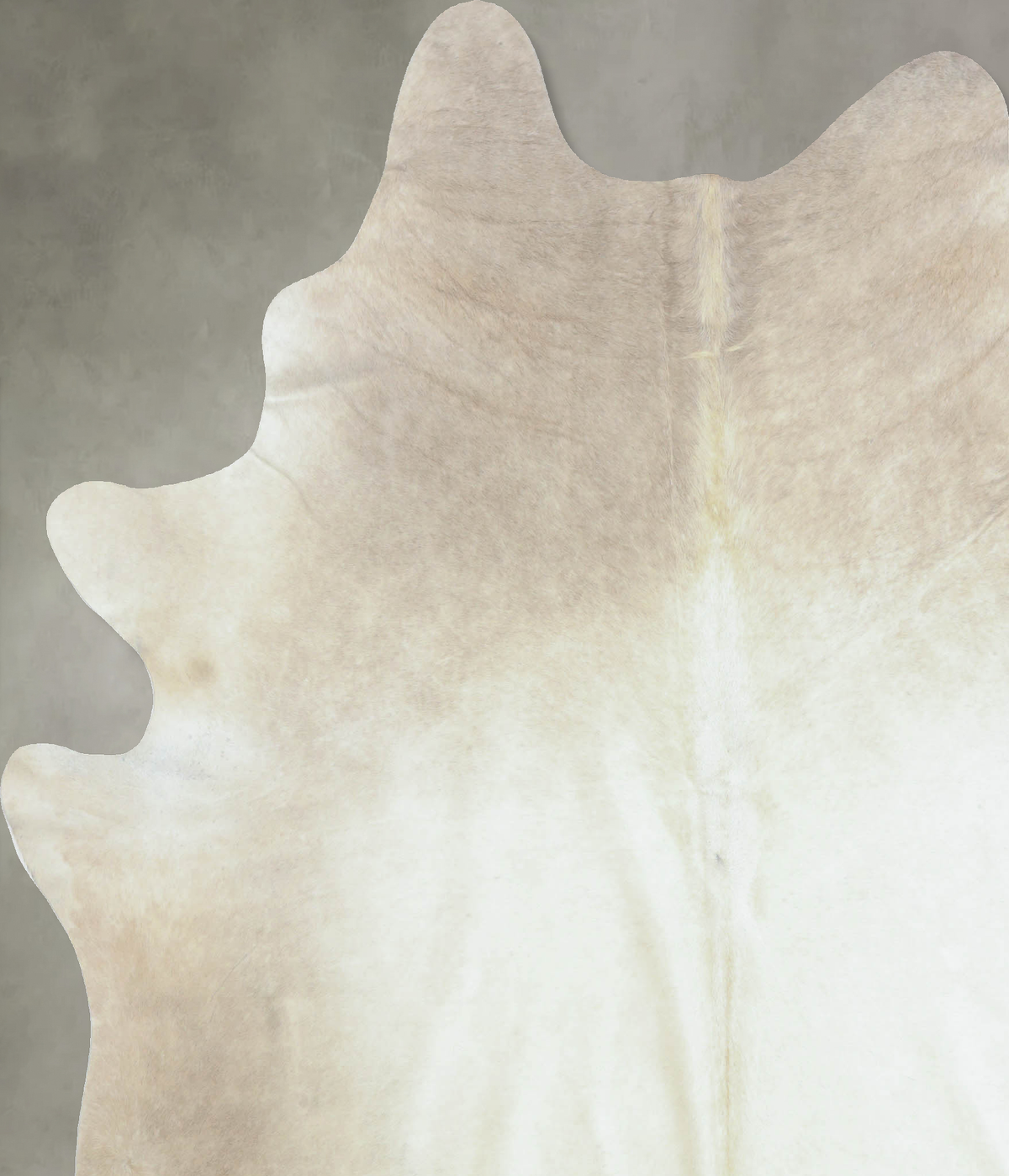 Taupe XX-Large Brazilian Cowhide Rug 7'10"H x 6'11"W #B8075 by Hudson Hides