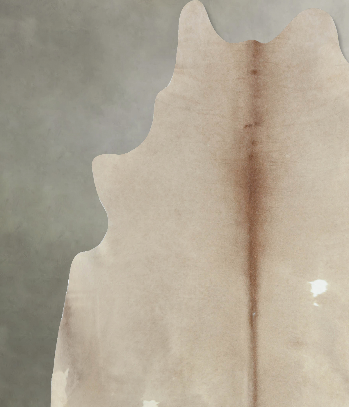 Taupe XX-Large Brazilian Cowhide Rug 7'11"H x 7'4"W #B8080 by Hudson Hides