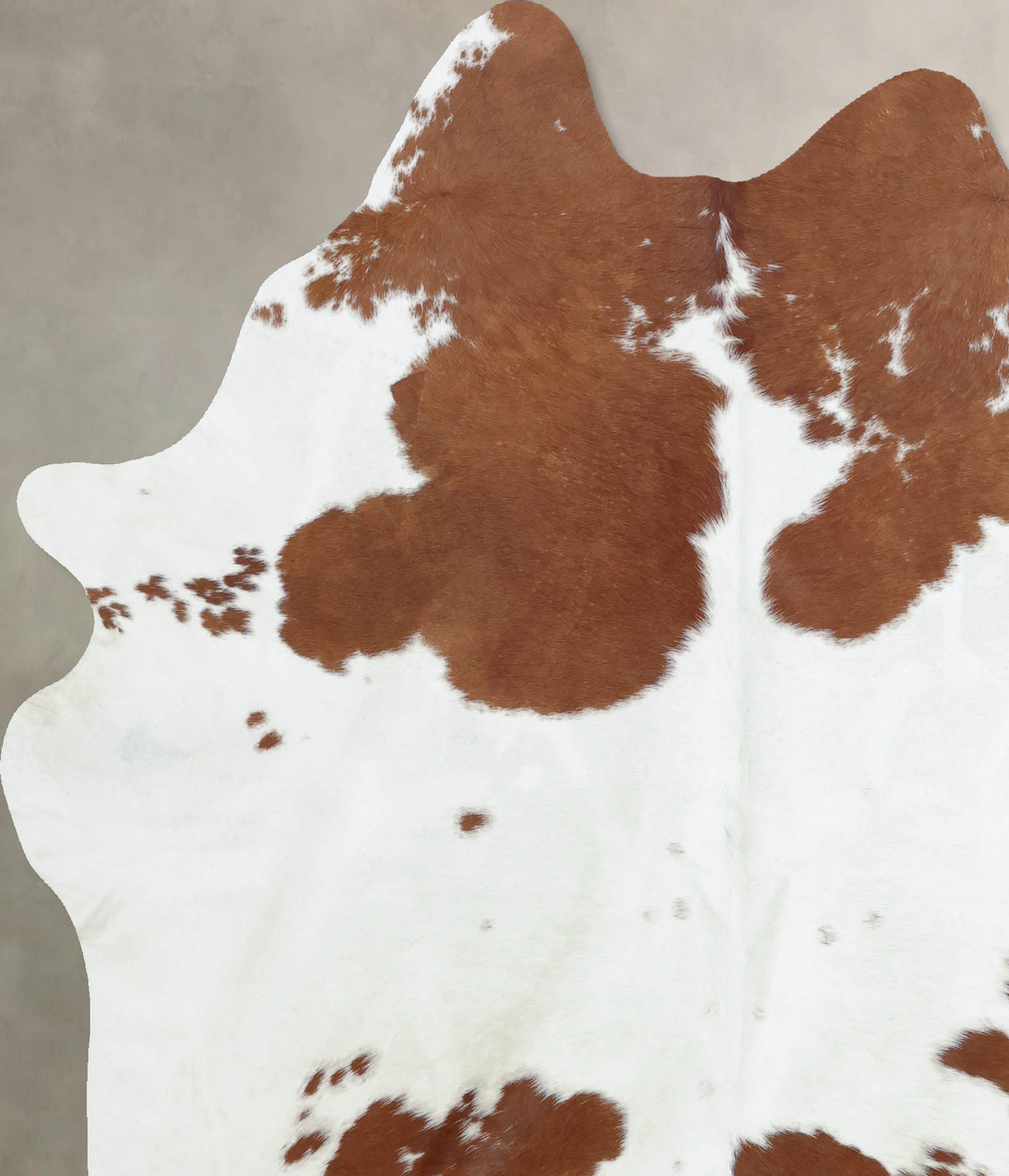 Brown and White X-Large Brazilian Cowhide Rug 7'3"H x 6'0"W #B8090 by 