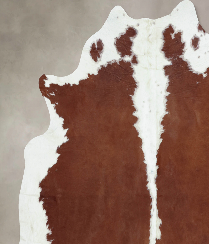 Hereford XX-Large Brazilian Cowhide Rug 7'5"H x 7'1"W #B8172 by Hudson Hides