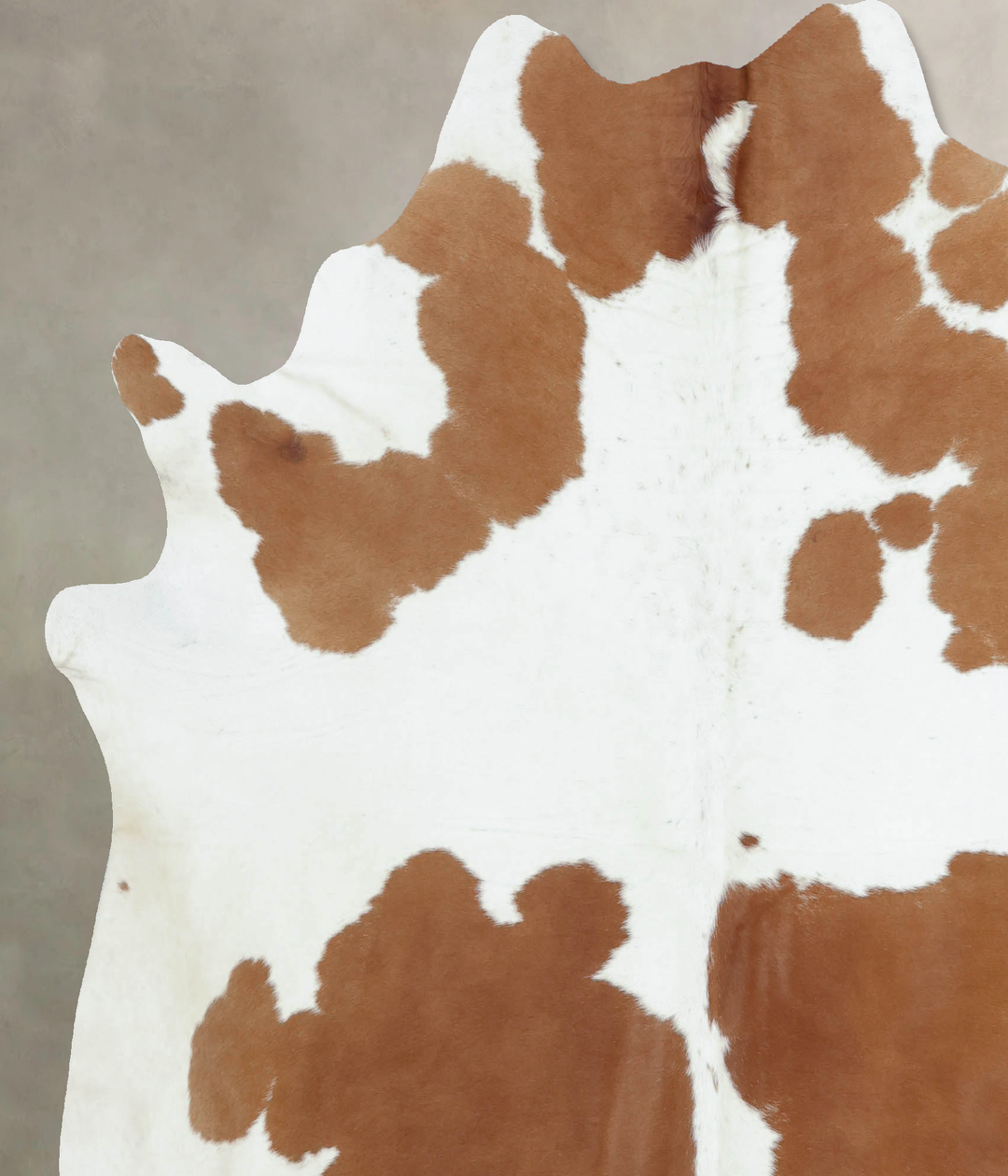 Brown and White X-Large Brazilian Cowhide Rug 7'1"H x 6'8"W #B8189 by 