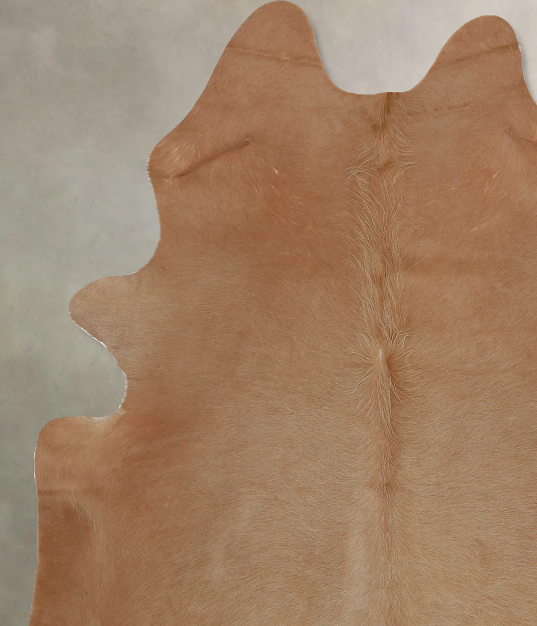 Beige X-Large Brazilian Cowhide Rug 7'4"H x 5'7"W #B8206 by Hudson Hid