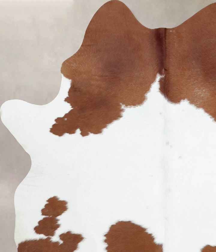 Brown and White X-Large Brazilian Cowhide Rug 7'8"H x 5'10"W #B8236 by Hudson Hides
