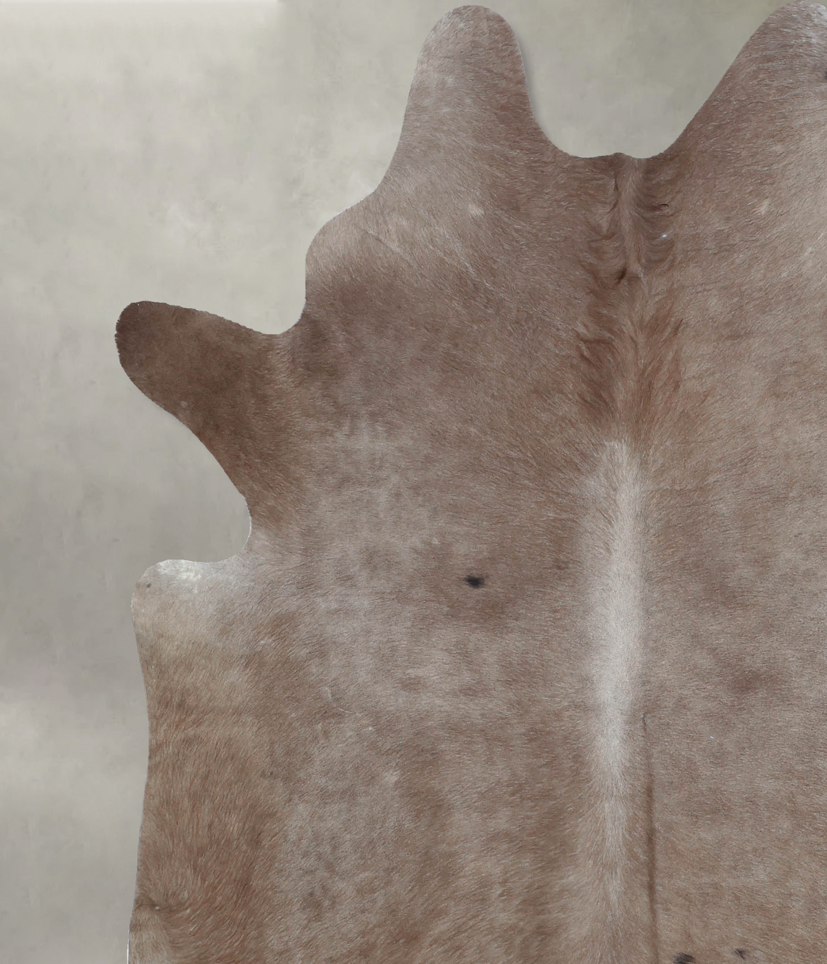 Taupe XX-Large Brazilian Cowhide Rug 7'9"H x 6'9"W #B8349 by Hudson Hides