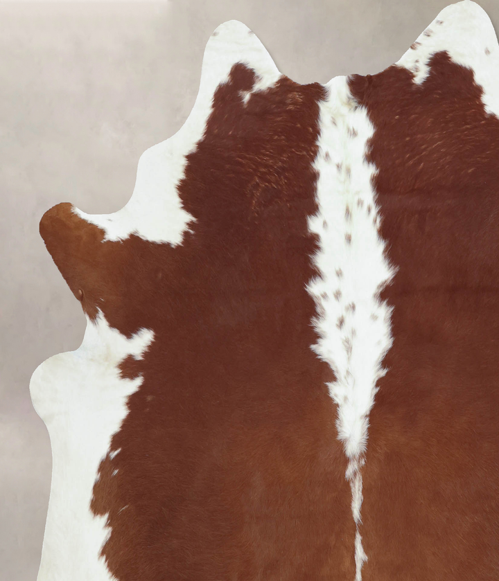 Hereford X-Large Brazilian Cowhide Rug 6'9"H x 6'6"W #B8402 by Hudson Hides