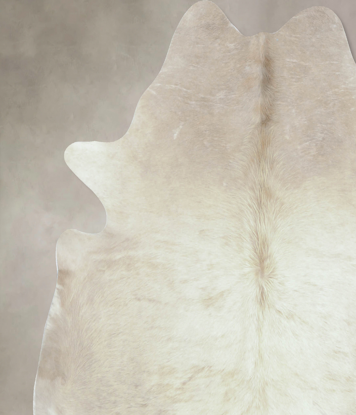 Champagne XX-Large Brazilian Cowhide Rug 7'5"H x 6'11"W #B8556 by Hudson Hides
