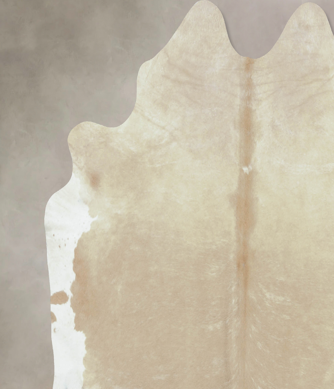 Champagne XX-Large Brazilian Cowhide Rug 7'8"H x 7'8"W #B8682 by Hudso