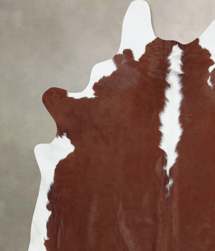 Hereford XX-Large Brazilian Cowhide Rug 8'3"H x 7'1"W #B8701 by Hudson Hides