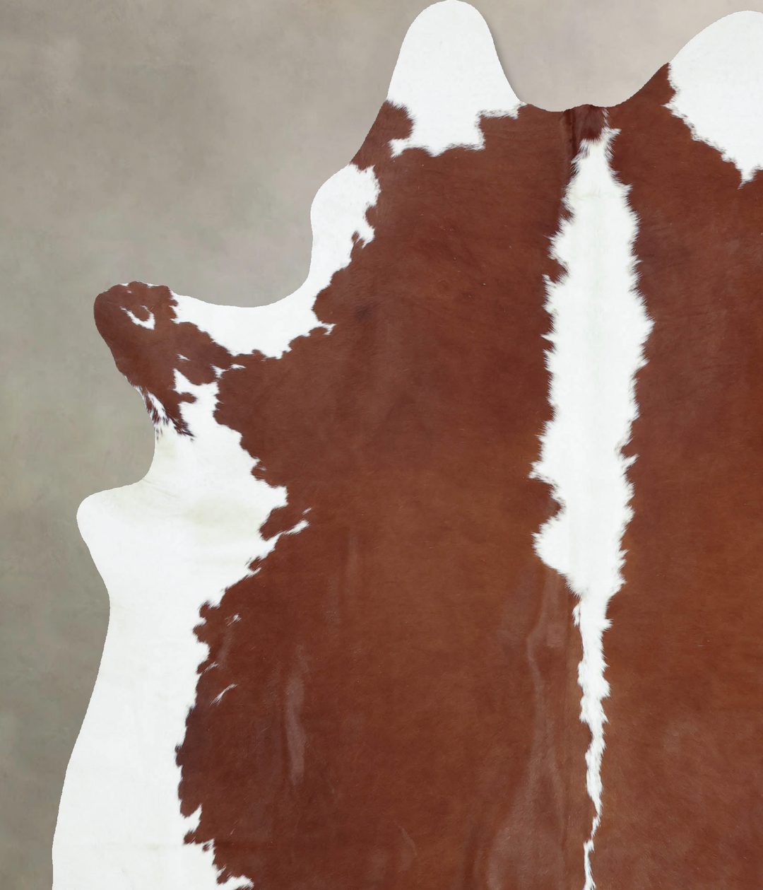 Hereford XX-Large Brazilian Cowhide Rug 8'3"H x 6'6"W #B8703 by Hudson