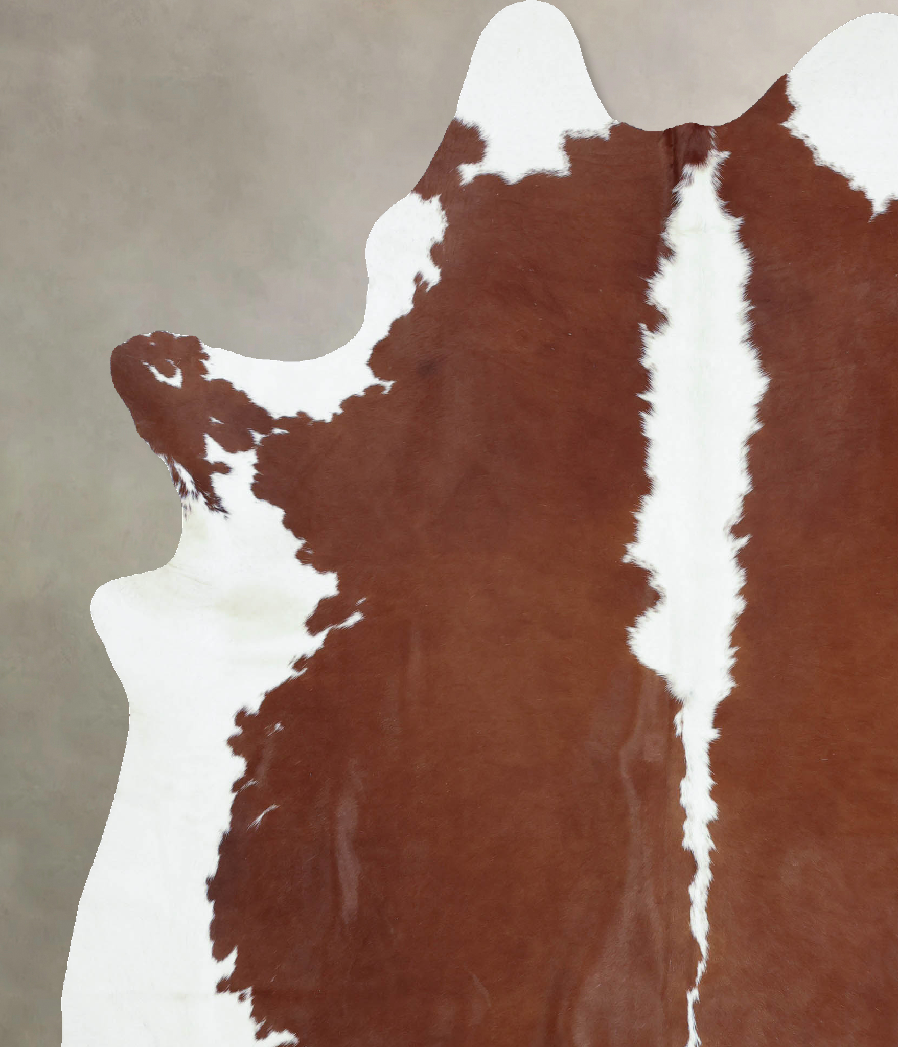 Hereford Cowhide Rug #B8703