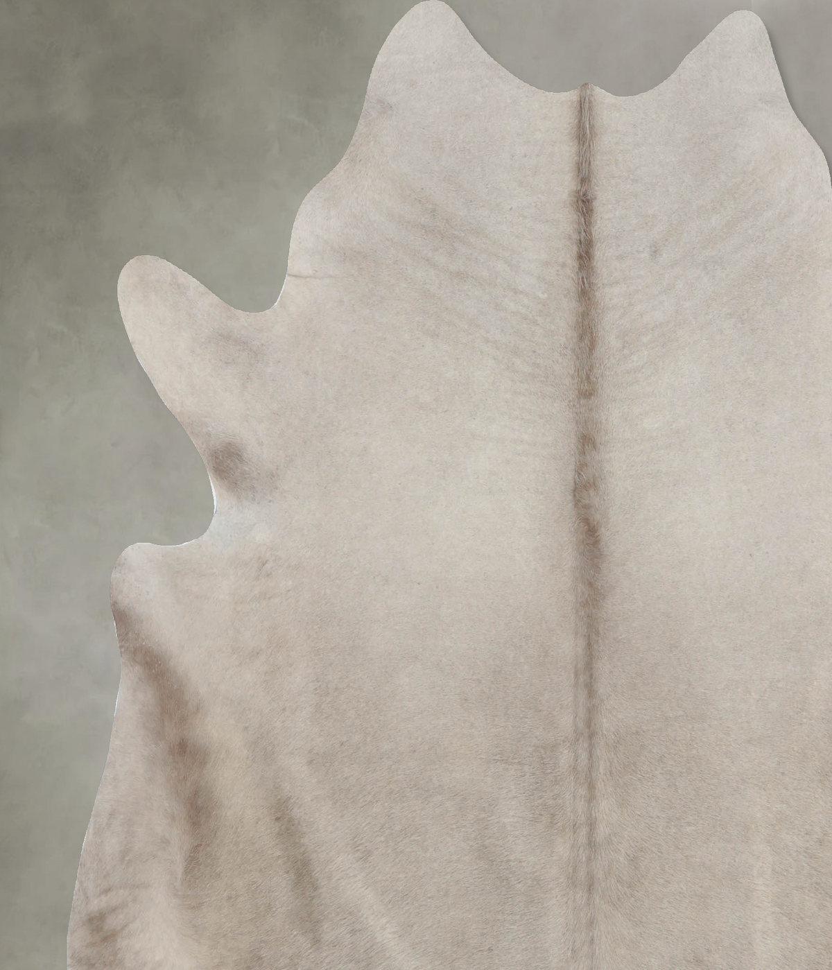 Taupe XX-Large Brazilian Cowhide Rug 7'2"H x 7'0"W #B8747 by Hudson Hides