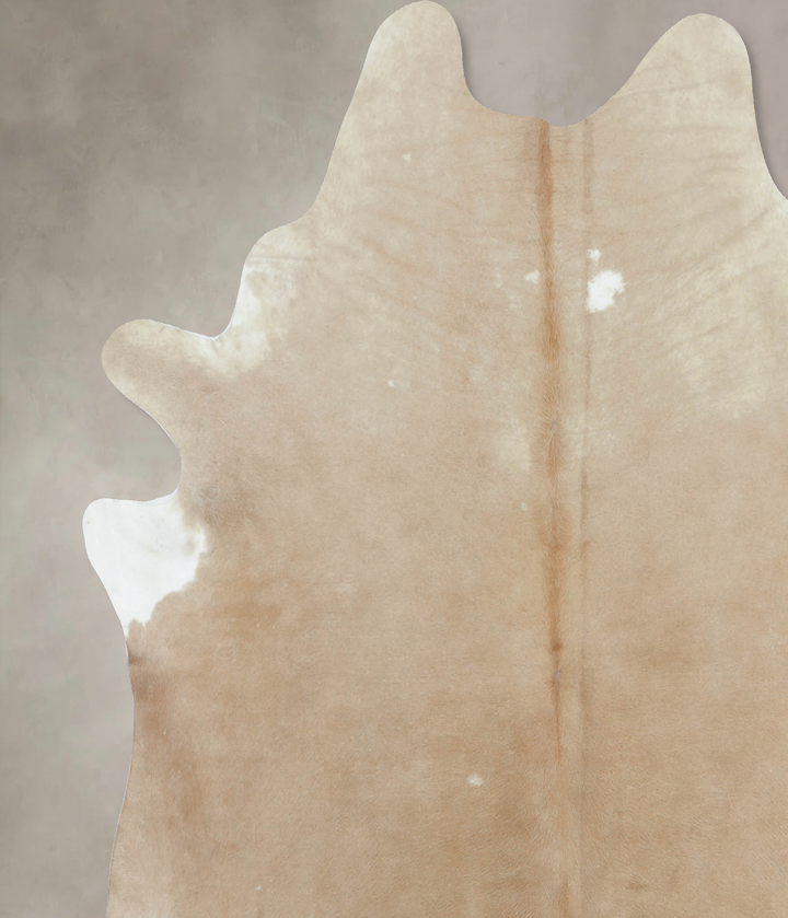 Beige XX-Large Brazilian Cowhide Rug 8'0"H x 7'2"W #B8885 by Hudson Hides
