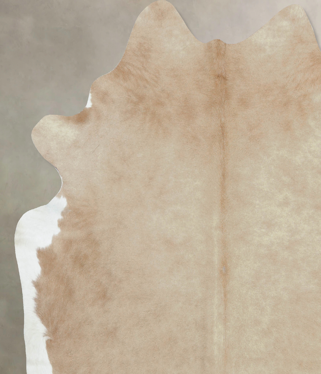 Beige XX-Large Brazilian Cowhide Rug 8'0"H x 6'10"W #B8895 by Hudson H