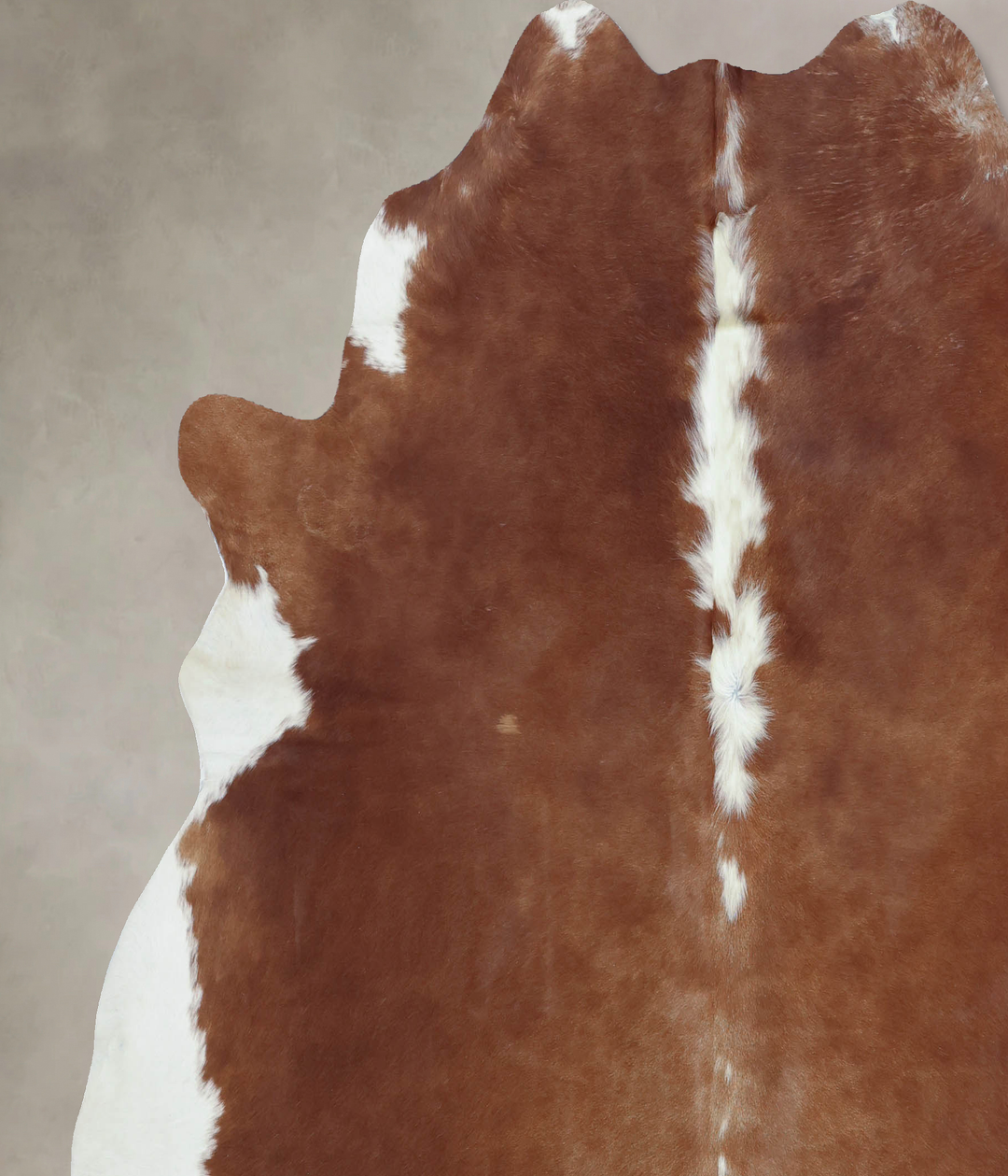 Hereford XX-Large Brazilian Cowhide Rug 7'5"H x 7'1"W #B8965 by Hudson