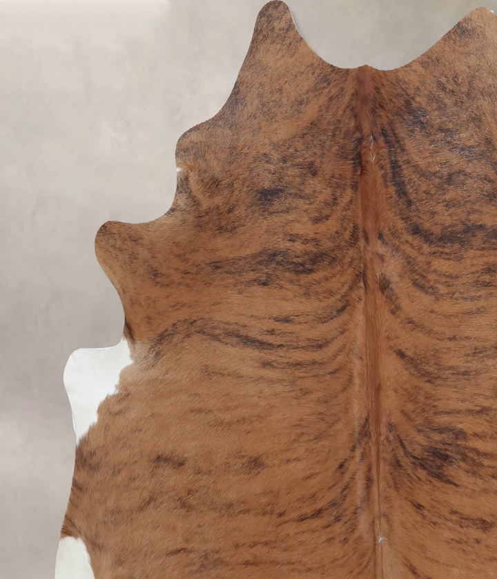 Medium Brindle X-Large Brazilian Cowhide Rug 6'11"H x 6'5"W #B9020 by Hudson Hides