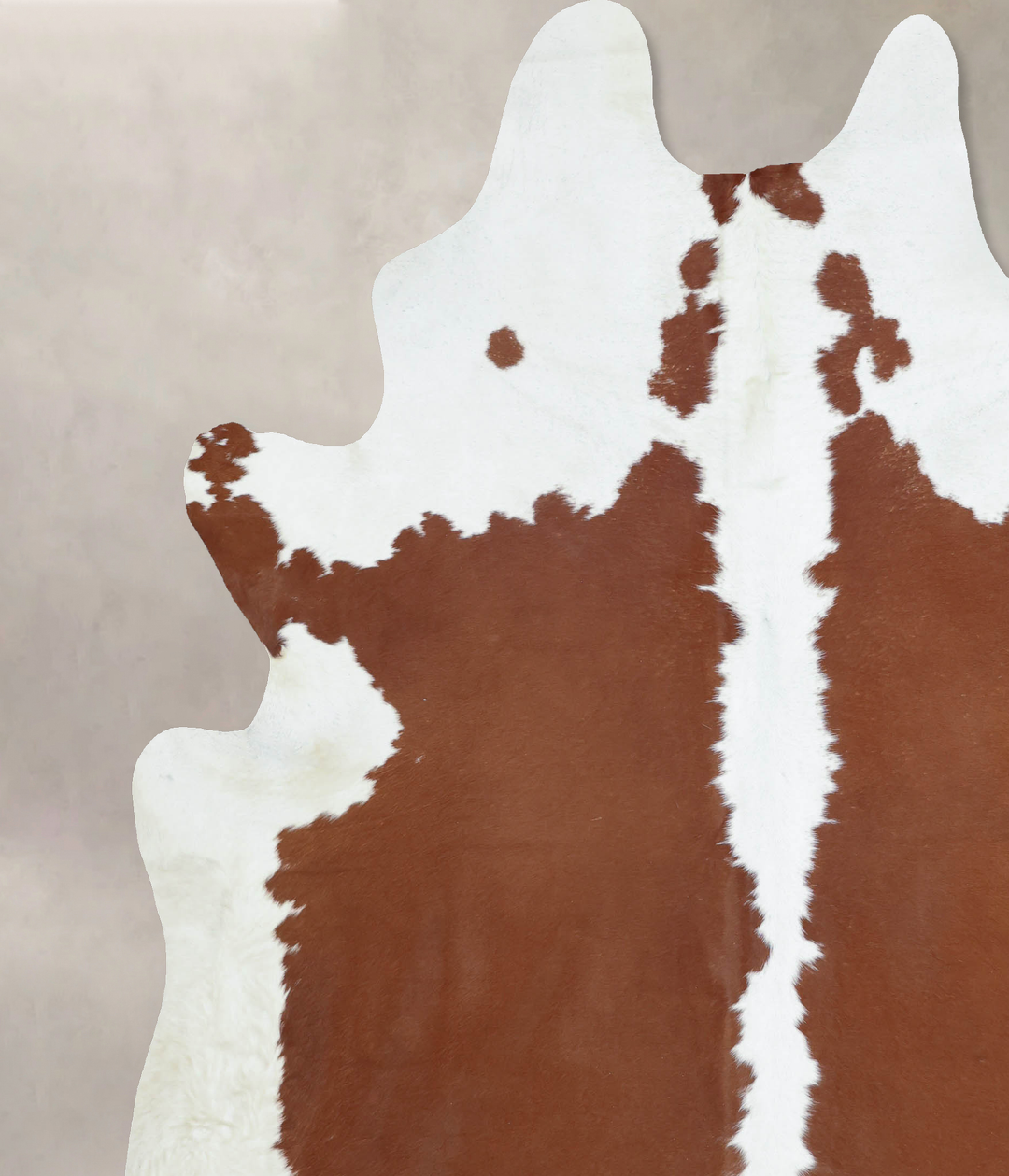 Hereford XX-Large Brazilian Cowhide Rug 8'9"H x 7'4"W #B9067 by Hudson