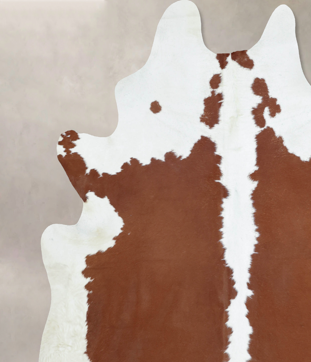 Hereford XX-Large Brazilian Cowhide Rug 8'9"H x 7'4"W #B9067 by Hudson Hides