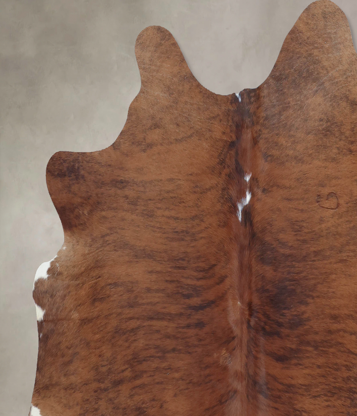 Medium Brindle X-Large Brazilian Cowhide Rug 6'6"H x 6'4"W #B9132 by Hudson Hides