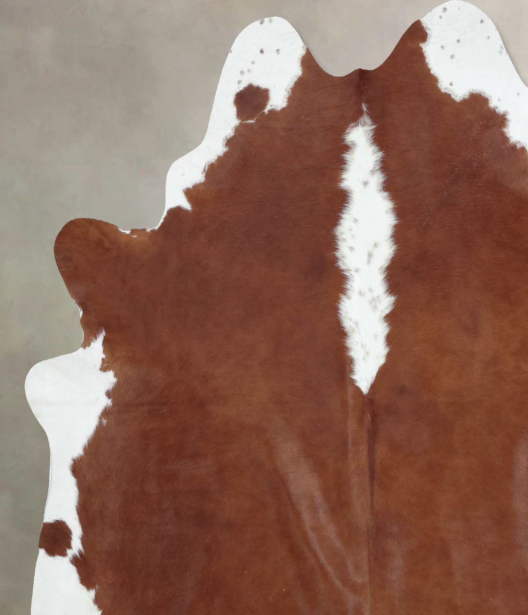 Hereford XX-Large Brazilian Cowhide Rug 8'3"H x 7'2"W #B9179 by Hudson