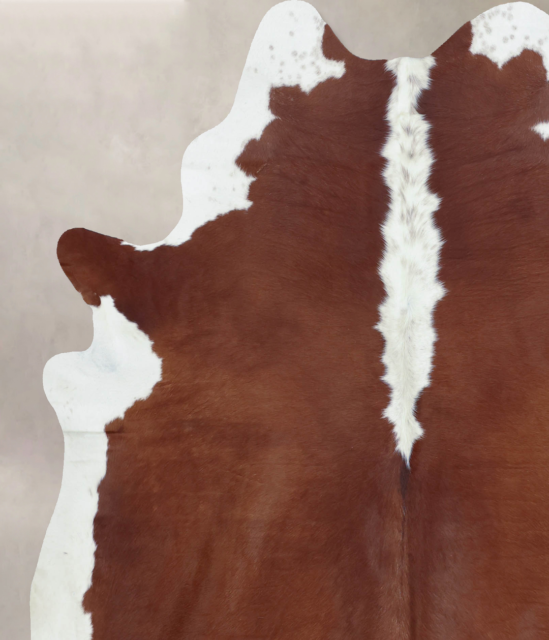 Hereford X-Large Brazilian Cowhide Rug 7'9"H x 6'4"W #B9181 by Hudson 