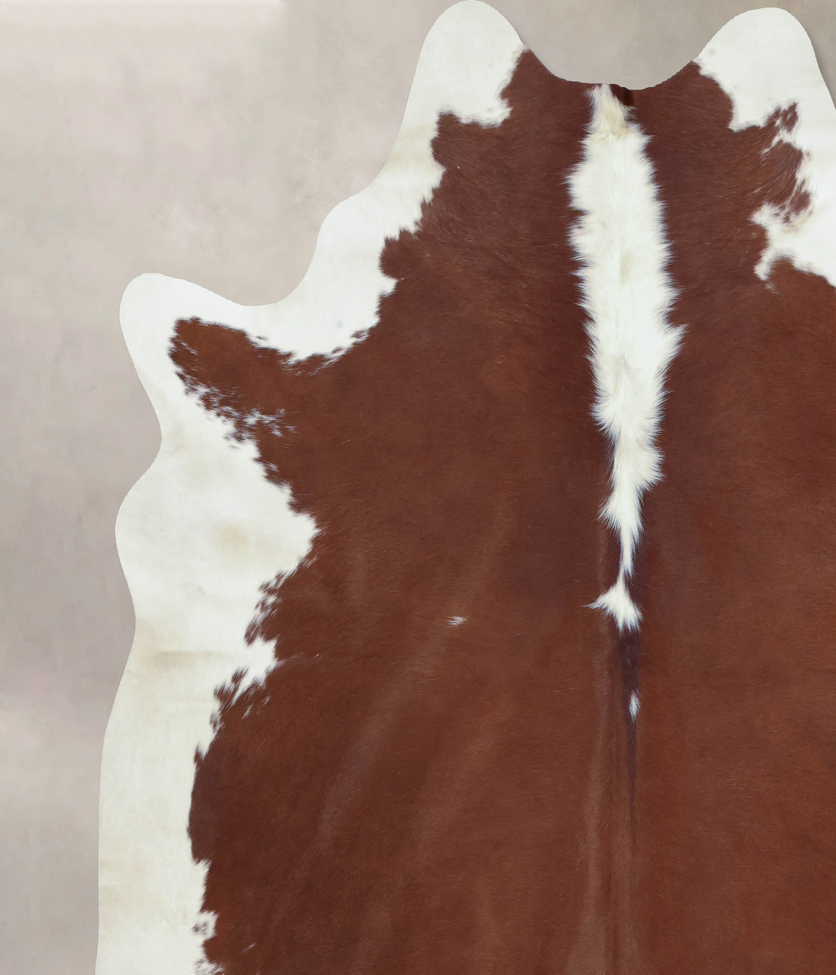 Hereford XX-Large Brazilian Cowhide Rug 7'8"H x 7'0"W #B9182 by Hudson Hides