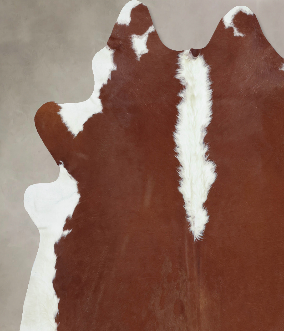 Hereford XX-Large Brazilian Cowhide Rug 8'5"H x 7'7"W #B9191 by Hudson