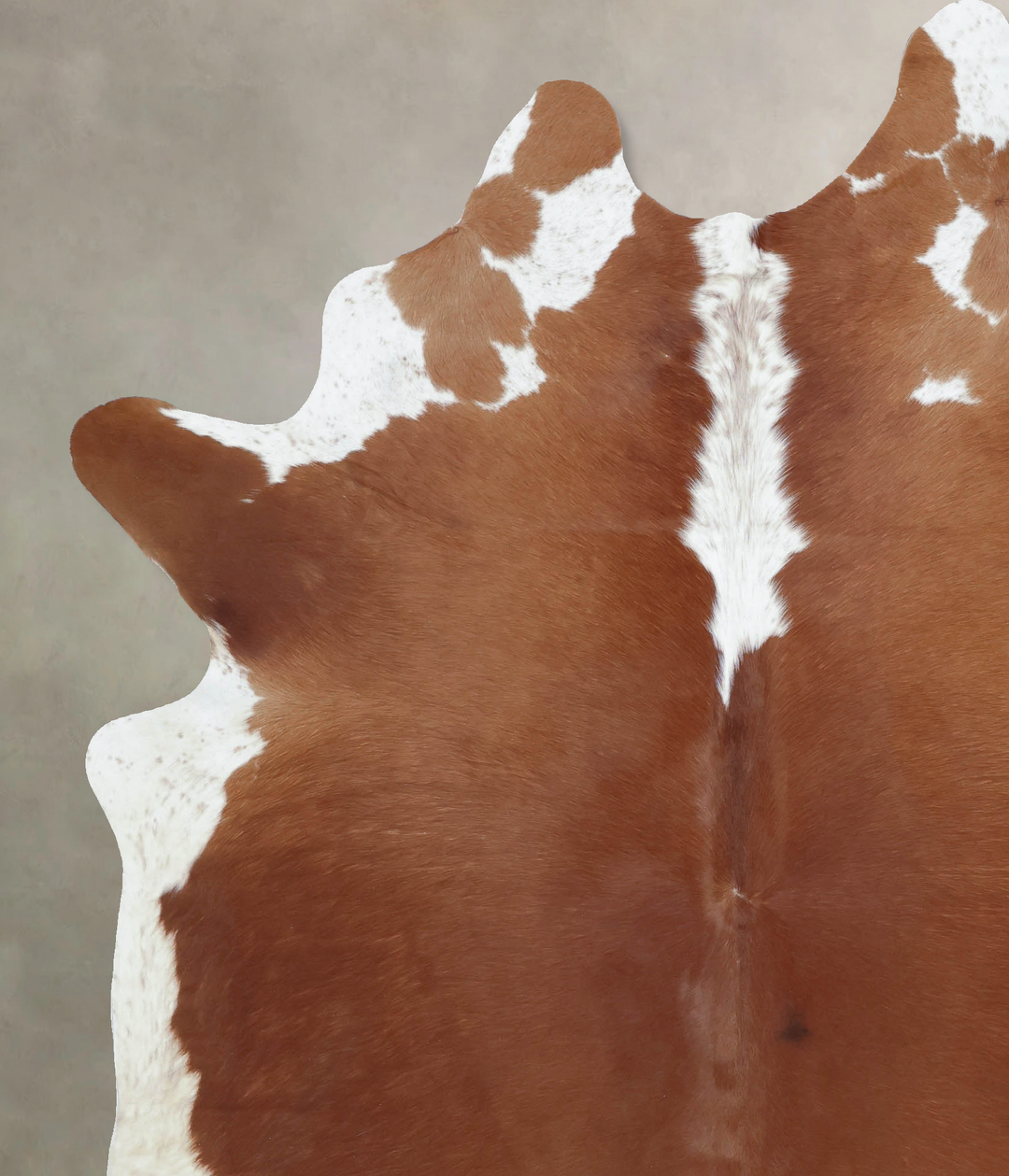 Hereford XX-Large Brazilian Cowhide Rug 8'4"H x 6'6"W #B9216 by Hudson