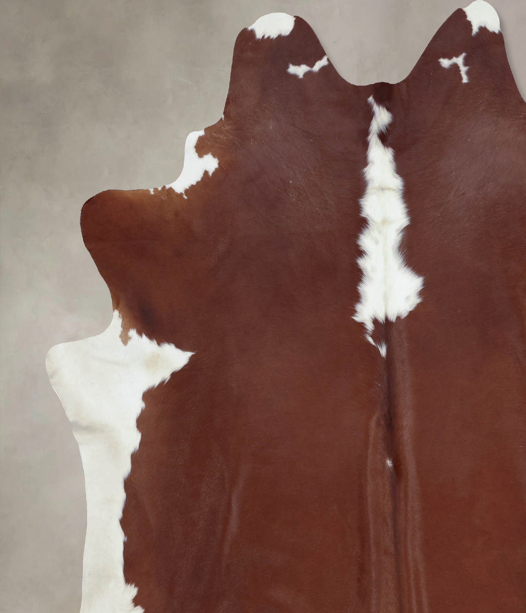 Hereford XX-Large Brazilian Cowhide Rug 8'9"H x 7'6"W #B9238 by Hudson