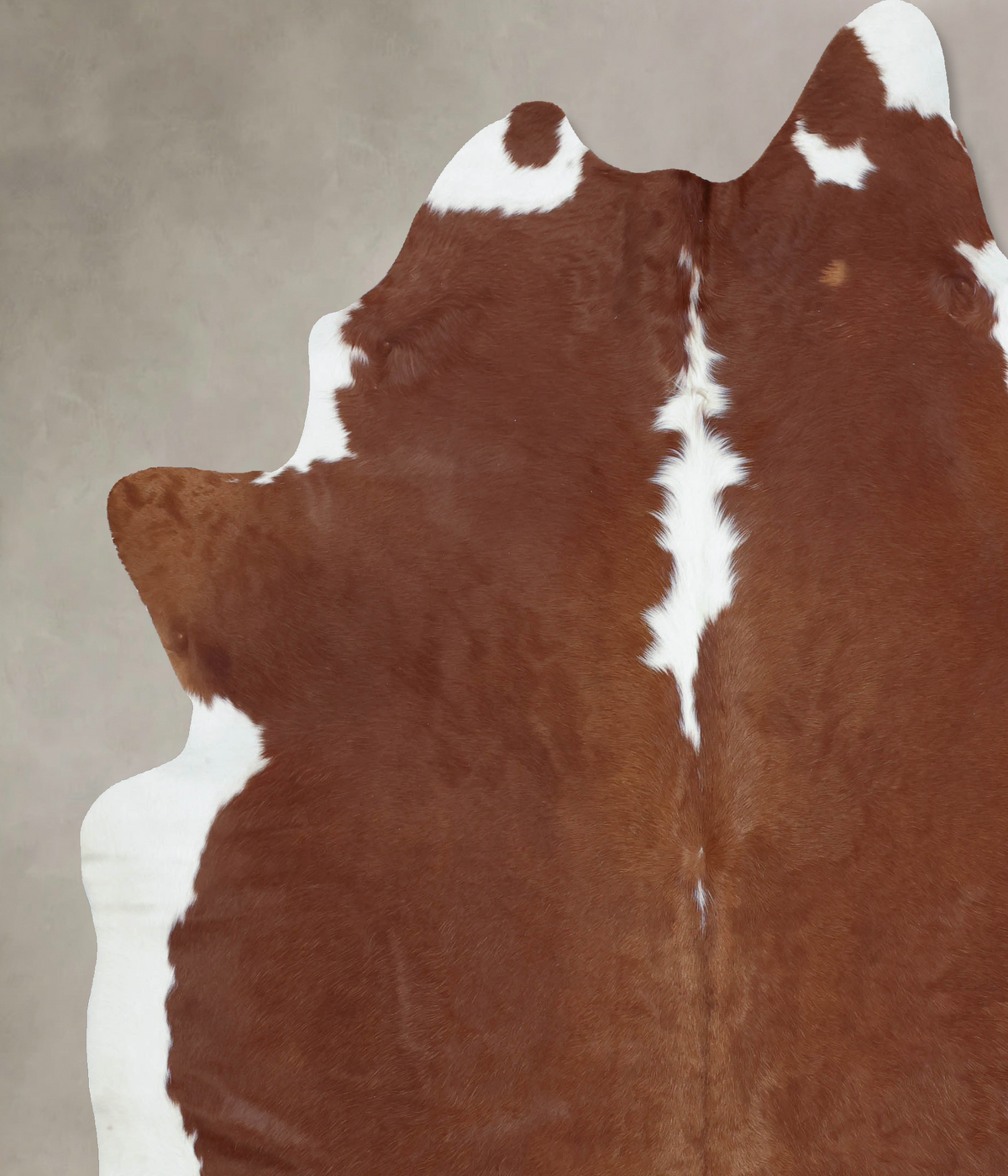 Hereford XX-Large Brazilian Cowhide Rug 8'10"H x 7'3"W #B9241 by Hudson Hides