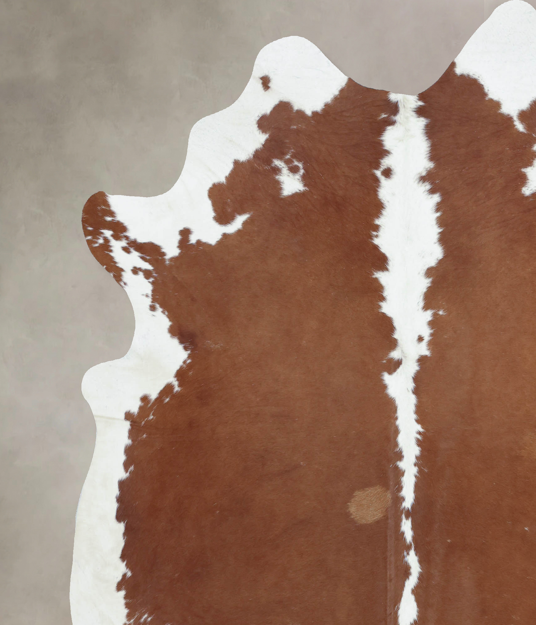 Hereford XX-Large Brazilian Cowhide Rug 8'3"H x 6'9"W #B9242 by Hudson