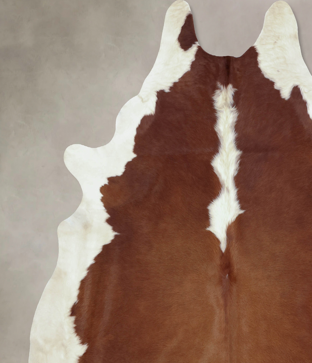 Hereford XX-Large Brazilian Cowhide Rug 8'9"H x 7'5"W #B9260 by Hudson
