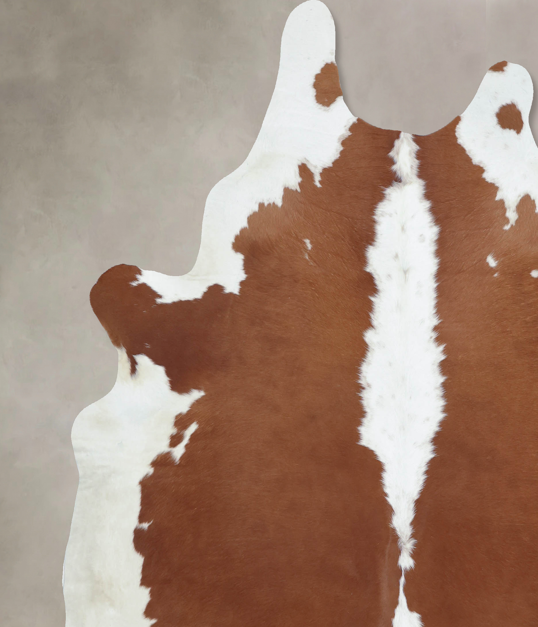 Hereford XX-Large Brazilian Cowhide Rug 8'3"H x 7'4"W #B9262 by Hudson