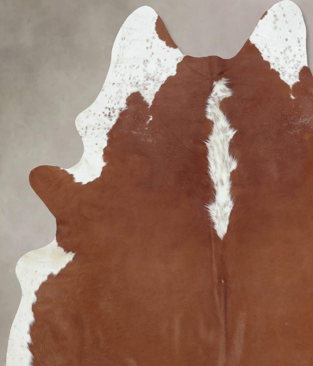 Hereford XX-Large Brazilian Cowhide Rug 8'1"H x 6'2"W #B9279 by Hudson