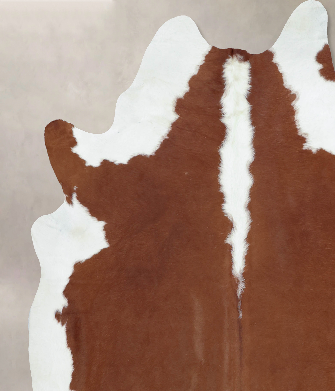 Hereford XX-Large Brazilian Cowhide Rug 8'9"H x 7'5"W #B9280 by Hudson