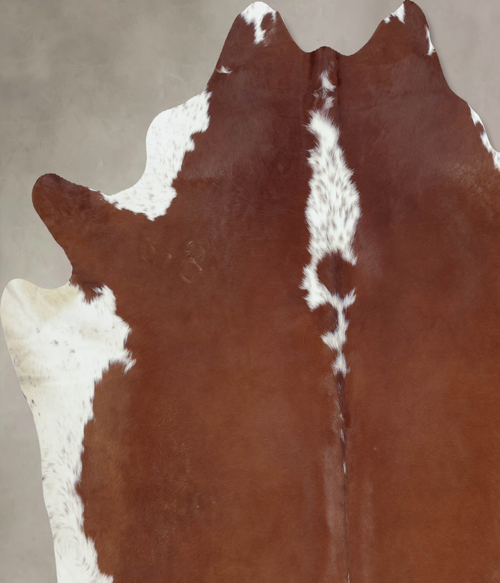 Hereford XX-Large Brazilian Cowhide Rug 7'2"H x 7'4"W #B9282 by Hudson Hides