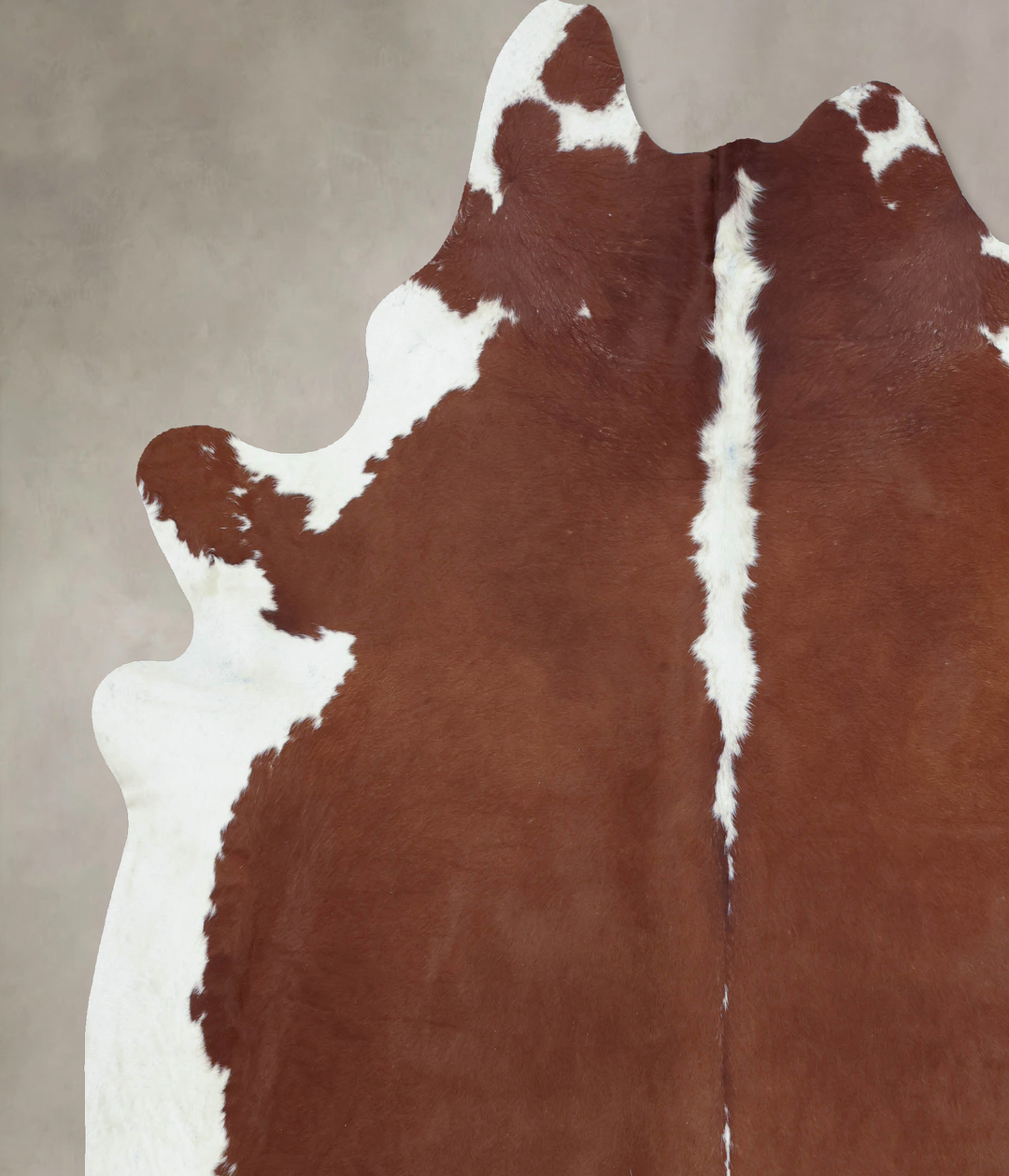 Hereford XX-Large Brazilian Cowhide Rug 8'3"H x 7'4"W #B9323 by Hudson