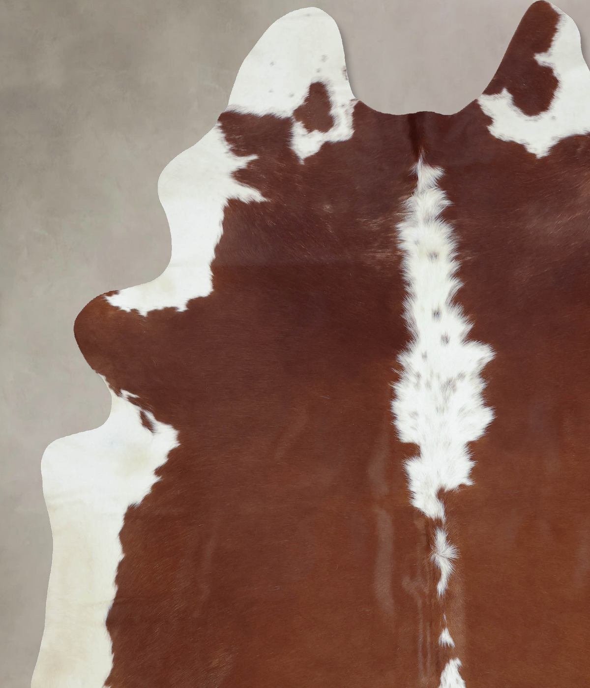 Hereford XX-Large Brazilian Cowhide Rug 8'10"H x 7'0"W #B9324 by Hudson Hides