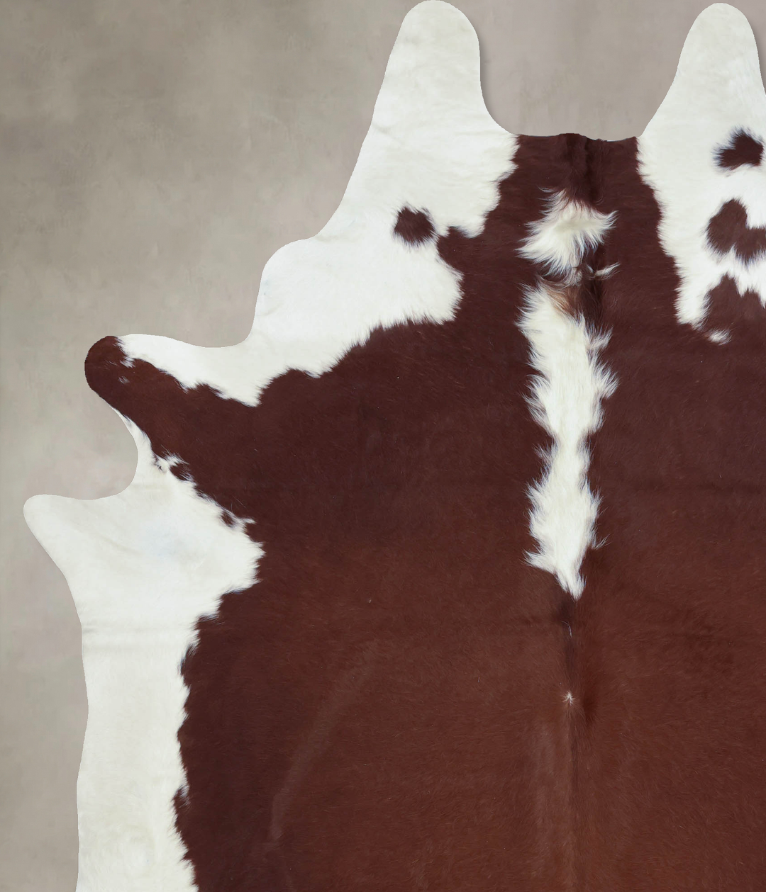Hereford XX-Large Brazilian Cowhide Rug 8'7"H x 6'8"W #B9346 by Hudson