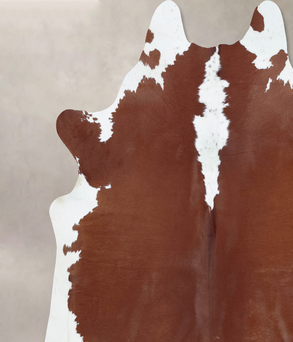 Hereford XX-Large Brazilian Cowhide Rug 7'8"H x 7'3"W #B9372 by Hudson Hides