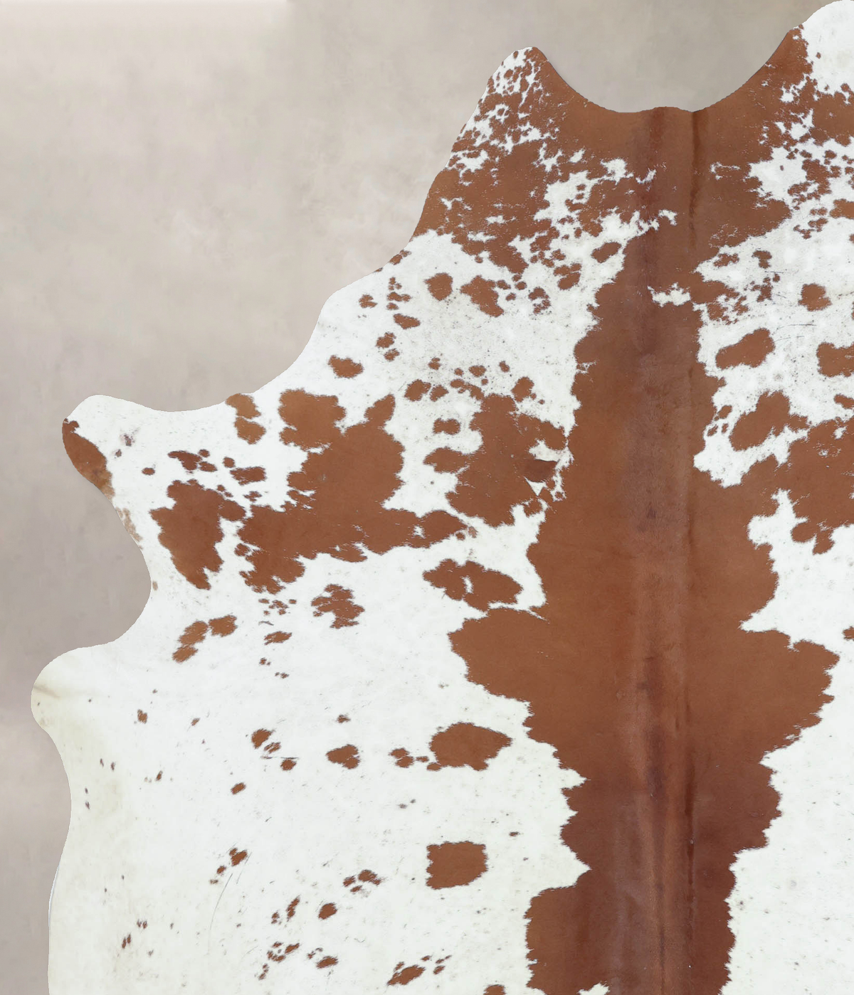 Brown and White XX-Large Brazilian Cowhide Rug 8'1"H x 6'5"W #B9382 by Hudson Hides